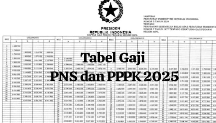 Jadwal Pelantikan PPPK 2025 Sulawesi Barat: Gaji dan Tunjangan Lengkap