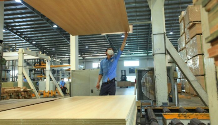 Timber Industry Seeks VAT Refund Solutions