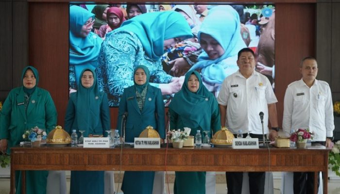 TP PKK Asahan Fokus Perkuat Pemberdayaan Keluarga dan Peran Dasawisma