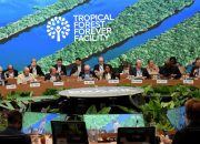 Mengenal Pendanaan Iklim: Mengapa Jadi Topik Utama di COP30?