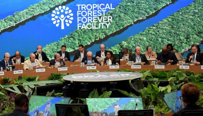 Mengenal Pendanaan Iklim: Mengapa Jadi Topik Utama di COP30?