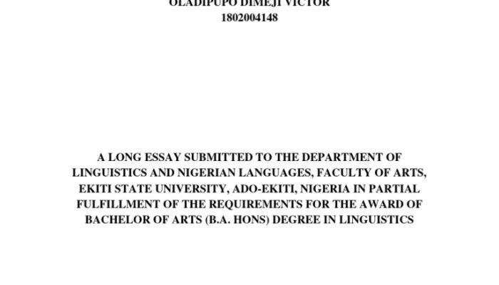Okediran’s London Reading of Madagali