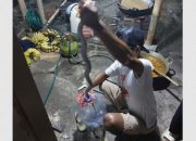 Dapur Geger: Kobra Muncul, Hajatan Bubar!