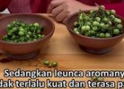 Pokak vs. Leunca: Kembar Tapi Tak Sama!