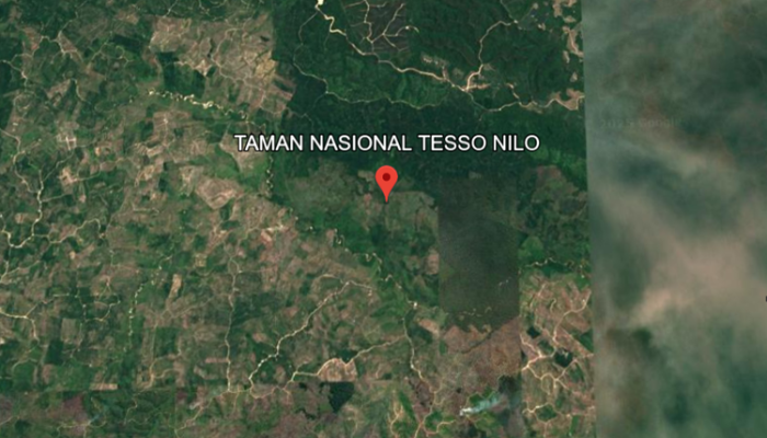 Warga Tesso Nilo Siap Keluarkan Rp 30 M Tahunan untuk Solusi Penghijauan Tanpa Relokasi