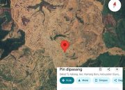 Potensi Rugikan Negara Rp 175 T: Sektor Kehutanan Terancam