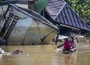 Waspada Leptospirosis Pasca Banjir