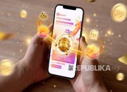 Lemomo: Triliunan Subsidi untuk E-commerce Minat Interaktif