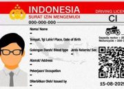 SIM Diperpanjang Setiap 5 Tahun, Mengapa Masa Berlaku Tak Bisa Sepanjang Hidup Seperti KTP?
