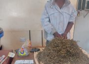 Kiambu Bust: Police Nab Suspect, Seize Sh200K Bhang