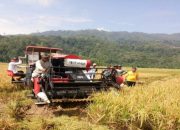 Panen Kangkung, Panen Disiplin: Lapas Empat Lawang Tanamkan Etos Kerja Warga Binaan