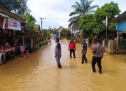 Banjir Menghancurkan, 3 Bupati Aceh Menyerah, Aceh Timur Berjuang dengan Keterbatasan