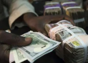 Naira Weakens Slightly Against Dollar