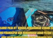 Nelayan Sikka Terduga Bom Ikan Diciduk Polda NTT