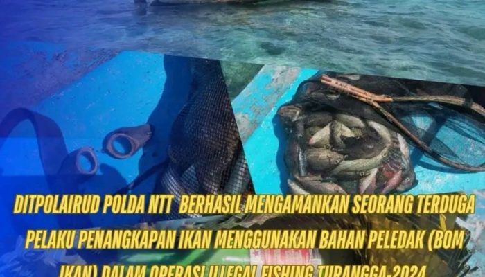 Nelayan Sikka Terduga Bom Ikan Diciduk Polda NTT