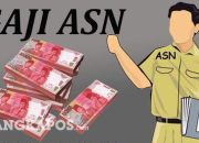 Gaji PNS 2026: Naik atau Tidak? Simak Rincian Golongan I-IV
