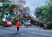 DPRD Kupang Desak BPBD Siaga Bencana Cuaca Ekstrem