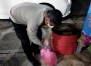 Teror Kepala Kambing Busuk Makassar: Motif Misterius