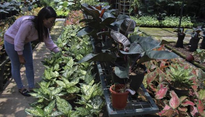 Udara Bersih Bandung-Bekasi: Saatnya Beraktivitas Luar Ruang