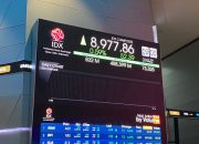 IHSG Meroket, Rupiah Perkasa di Rp 16.921