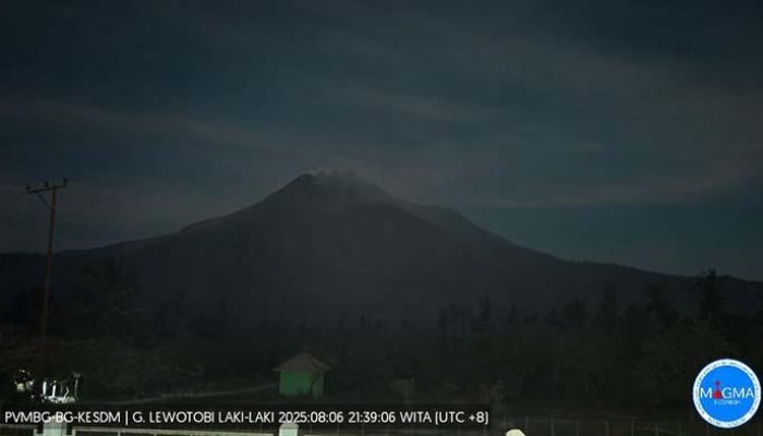 24 Jam Terakhir, Gunung Lewotobi 2 Kali Gempa Hembusan 20 Kali Tremor Non-Harmonik