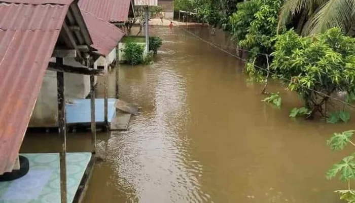 Sanggau Ledo Waspada Banjir Riam dan Kecamatan