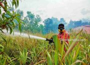 Gawat, Bintan Timur Darurat Kebakaran Hutan & Lahan