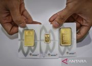 Harga Emas Antam Makassar Hari Ini: 18 Jan 2026
