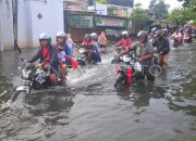 Banjir Kudus-Purwodadi Seminggu, Matic Terendam Mogok