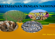 Jateng Lampaui Target Pangan Nasional, Pilar Ketahanan Pangan Indonesia