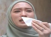 Inara Polisikan Virgoun: Perebutan Anak dan Sindiran Hak Asuh
