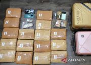 Polda Metro Jaya Gagalkan Peredaran 17 Kg Ganja, 4 Pengedar Diringkus