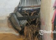 Hujan Singkat, Tanggul Jebol 4 Meter: Banjir Bandang Terjang Rumah Warga Padang