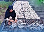 Dampak Langsung PNM: Pemberdayaan Perempuan Pesisir Kaltim