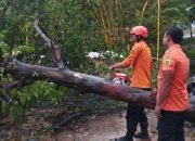 Angin Ngamuk & Longsor Terjang Bogor Akhir Pekan, Belasan Rumah Rusak