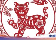 Hoki Macan 2026: Karier, Cinta, Keuangan & Peluang Emas