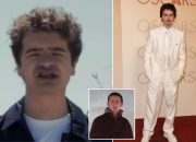 Gaten Matarazzo Roasts Chalamet in New Movie Promo