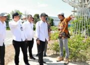Percantik Wajah Kota, Amsakar Tinjau Proyek Taman hingga Infrastruktur Jalan dan Drainase