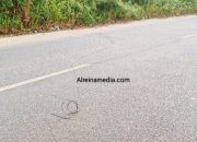 Ngeri, Kabel Melintang di Jalan Jerat Leher Pemotor di Wacopek Bintan