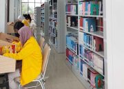 Pemprov Kalteng Perkuat Jaringan Internet 2026, Target Wilayah Blank Spot