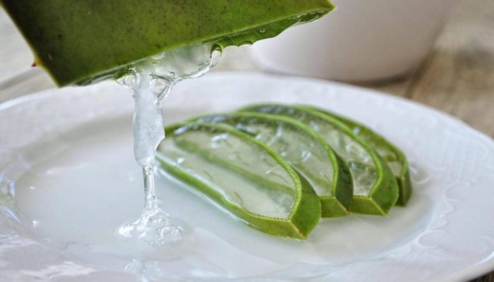5 Bahan Alami Mengatasi Rambut Rontok dan Penggunaannya