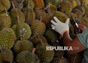Permintaan China Rp120 Triliun, Durian RI Siap Dapat Bagian Besar