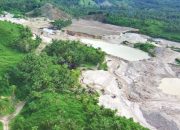 PLN UIP Sulawesi Jamin Kelestarian Cagar Alam Panua di Tengah Proyek SUTT 150 kV Marisa-Moutong