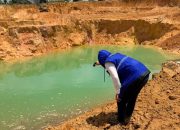 BP Batam Pulihkan Bekas Tambang Pasir Ilegal, Perusak Lingkungan Akan Diberi Sanksi Tegas