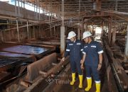 PT Timah Bukukan Laba Rp1,31 Triliun Sepanjang 2025