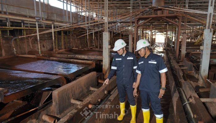 PT Timah Bukukan Laba Rp1,31 Triliun Sepanjang 2025