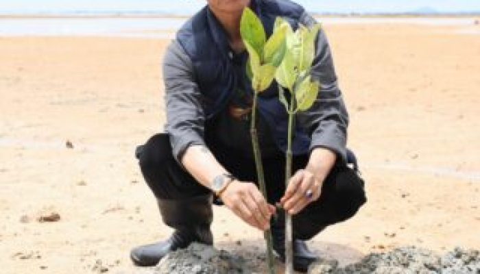 Aksi Menyelamatkan Bumi, Wali Kota bersama Mahasiswa Batam Tanam 2.000 Mangrove