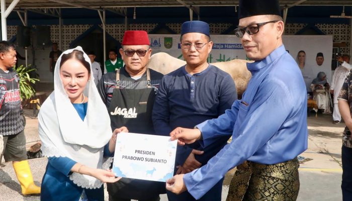 Serahkan Hewan Kurban Presiden Prabowo, Li Claudia Kobarkan Semangat Berbagi di Batam