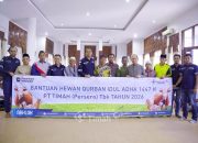 PT Timah Salurkan Hewan Kurban untuk Warga Bangka Tengah, Bantu Ribuan Masyarakat Sambut Iduladha