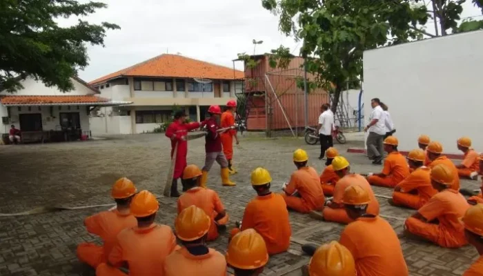 Rekrutmen 20 Ribu Awak Kapal KKP 2026 Dibuka, Ini Cara Daftarnya